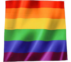 12 Paliacates Pañuelo Pashmina Multicolor Pride Lgbtq+