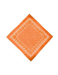 Paliacates Pañuelo de Algodón - Set de 12 Estampado Paisley Multicolor