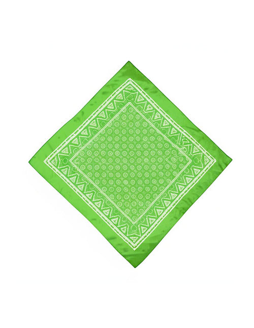 24 Paliacates Pañuelo Pashmina Bufanda Algodón Alta Calidad