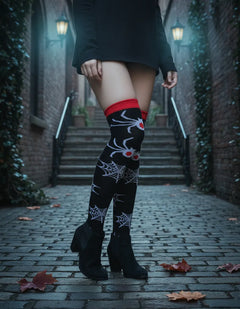 Calceta Larga Medieta Araña Telaraña Rojo