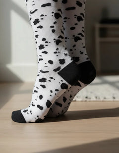 Calceta Larga Medieta Dalmata